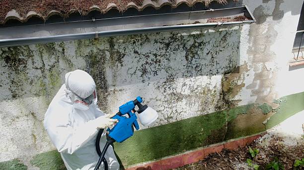 Top rated local Black Mold Remediation specialists in Clarksville, MD
